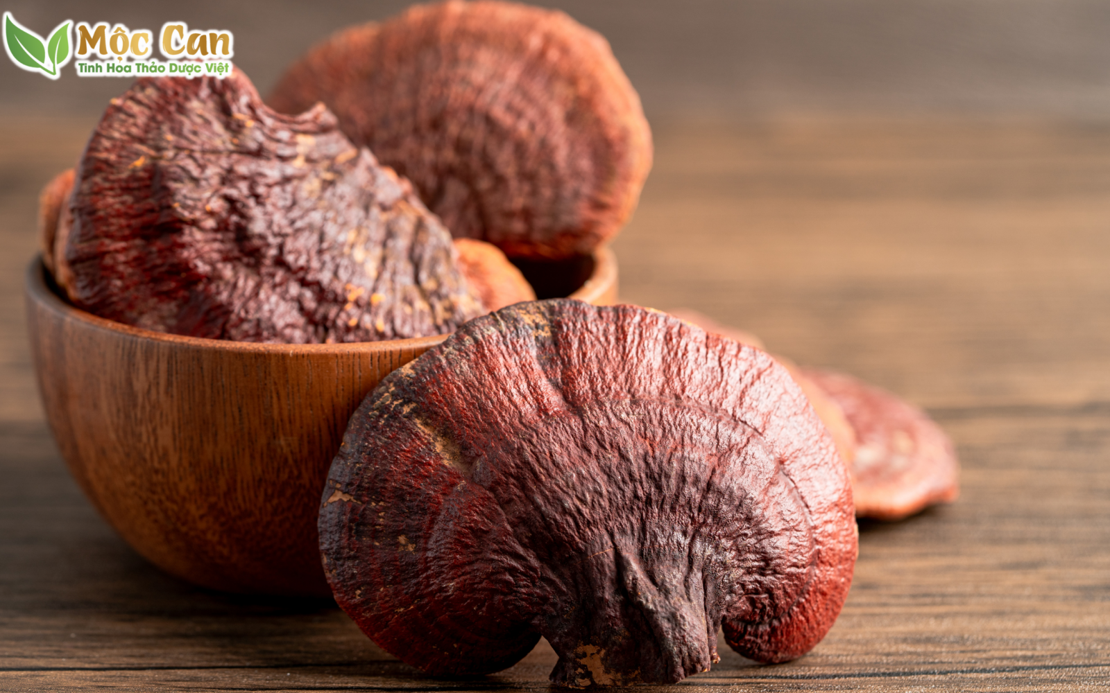 NHỮNG CÔNG DỤNG NỔI BẬT ÍT NGƯỜI BIẾT CỦA NẤM LINH CHI 2
